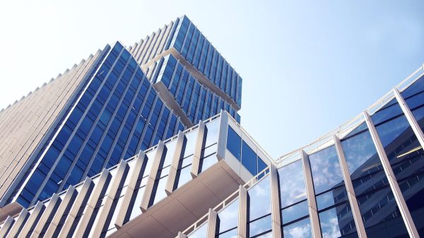 The Role of Innovation in Business Growth
